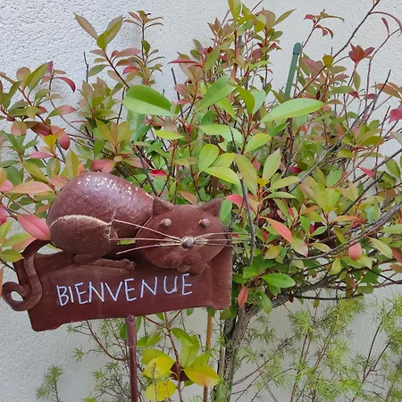 Du Cote De Chez Paule, Avec Entree Independante Et Salle D'eau Privative 3*